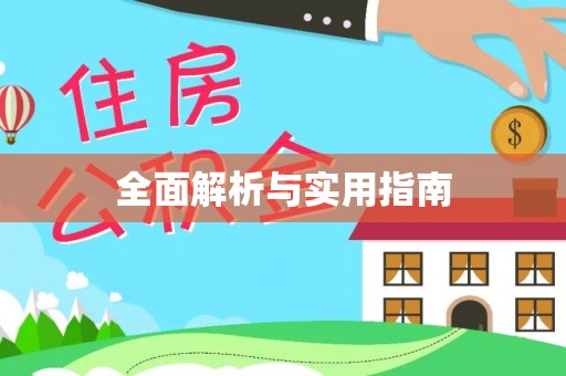 大东全面解析与实用指南